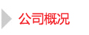 公司概括